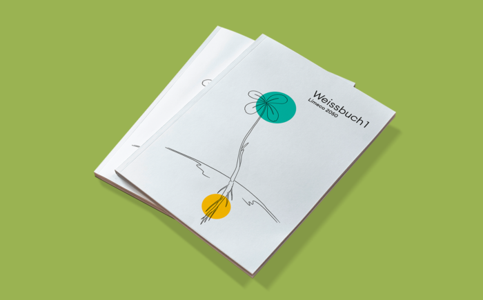 Fotografie der gedruckten Version des Weissbuch 1, auf hellgrünem Hintergrund