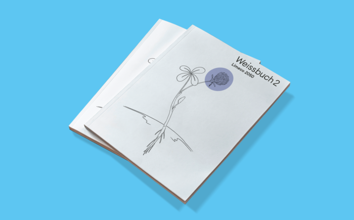 Fotografie der gedruckten Version des Weissbuch 2, auf hellblauem Hintergrund