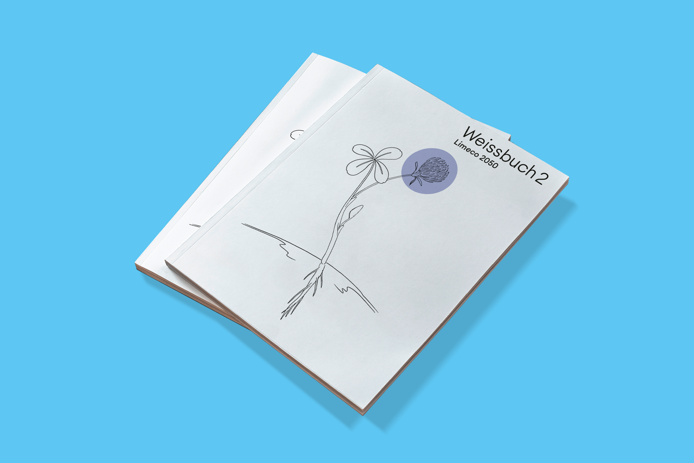 Fotografie der gedruckten Version des Weissbuch 2, auf hellblauem Hintergrund